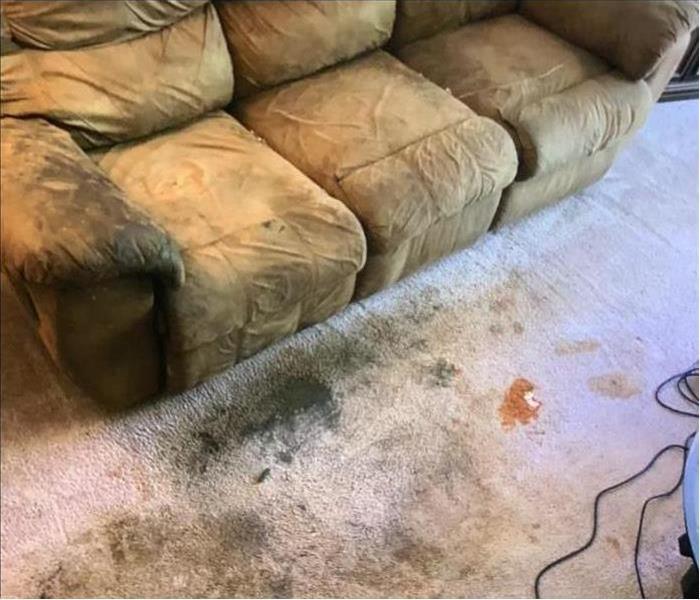 Dirty carpet and furniture