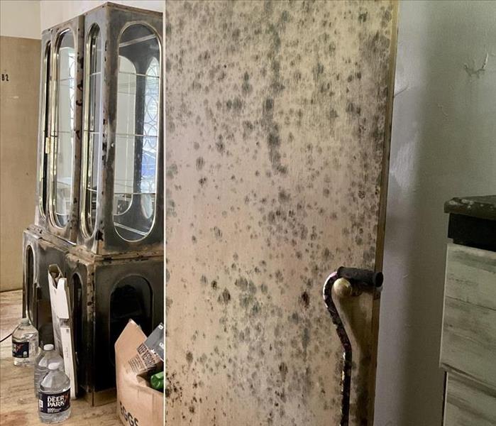 Mold on door in residential home